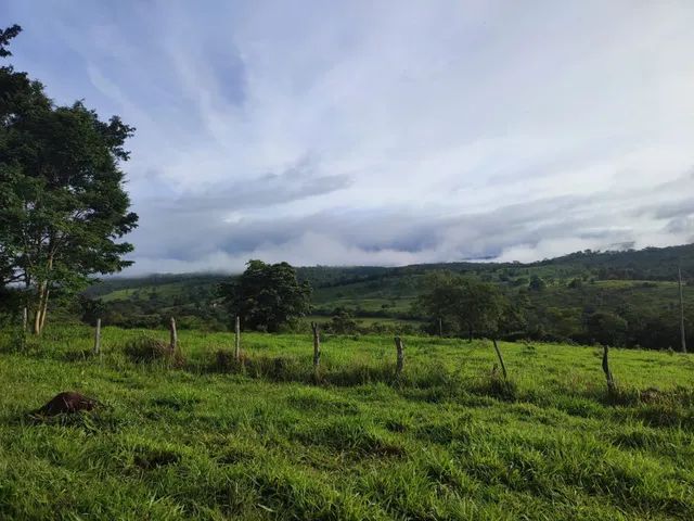 A Melhor fazenda da região. 576 ha. Muita água. 25 mil/há. *. - Foto 4