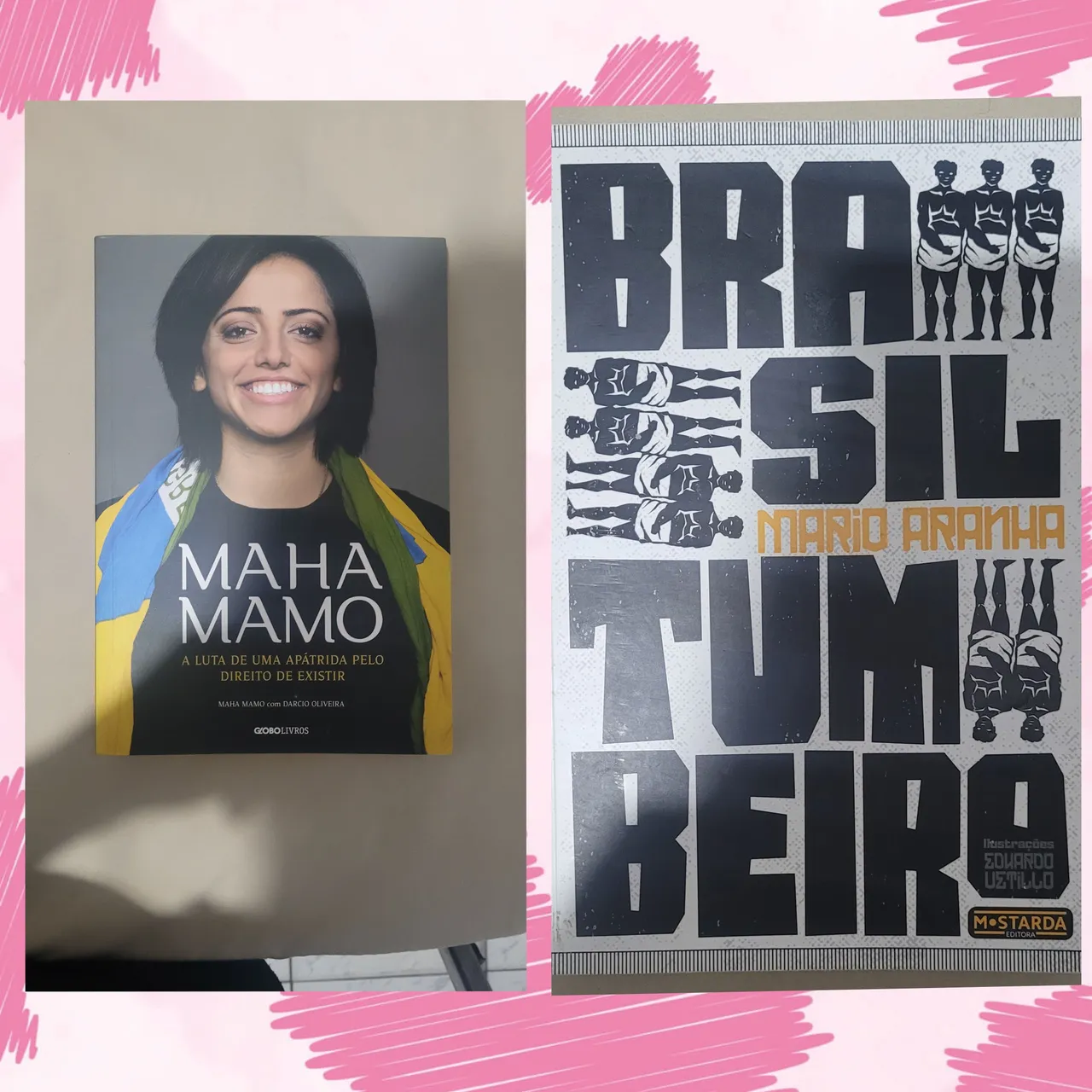 Lote de livros