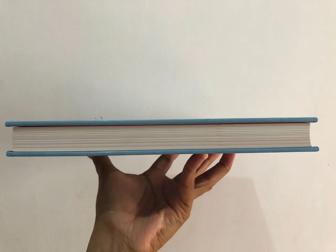 O LIVRO DA LITERATURA  - Foto 3