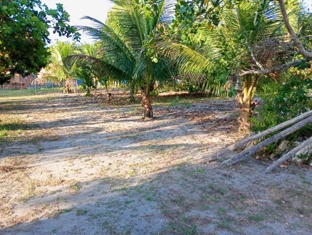 Vendo sitio em santo amaro (sitio camacari) - Foto 2