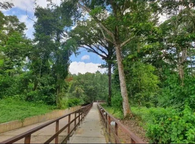 Lot. Porto marina quitado - Foto 5