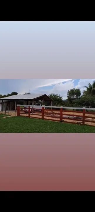 Fazenda Manga - Foto 4