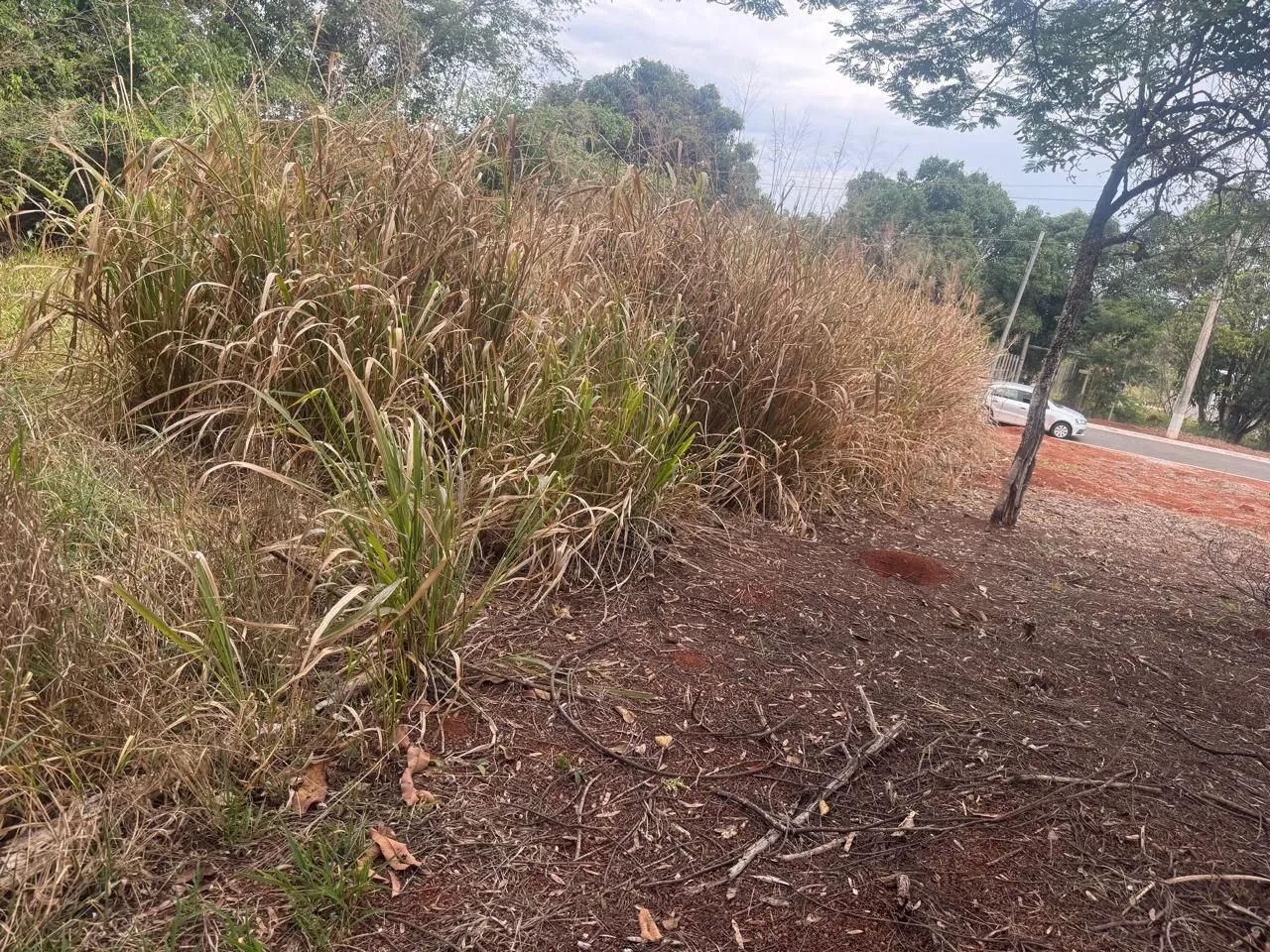 Excelente lote em Condomínio fechado, Igarapé  - Foto 5