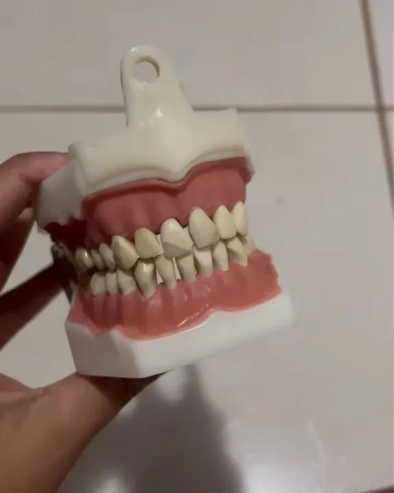 Manequim Dentistica  - Foto 4