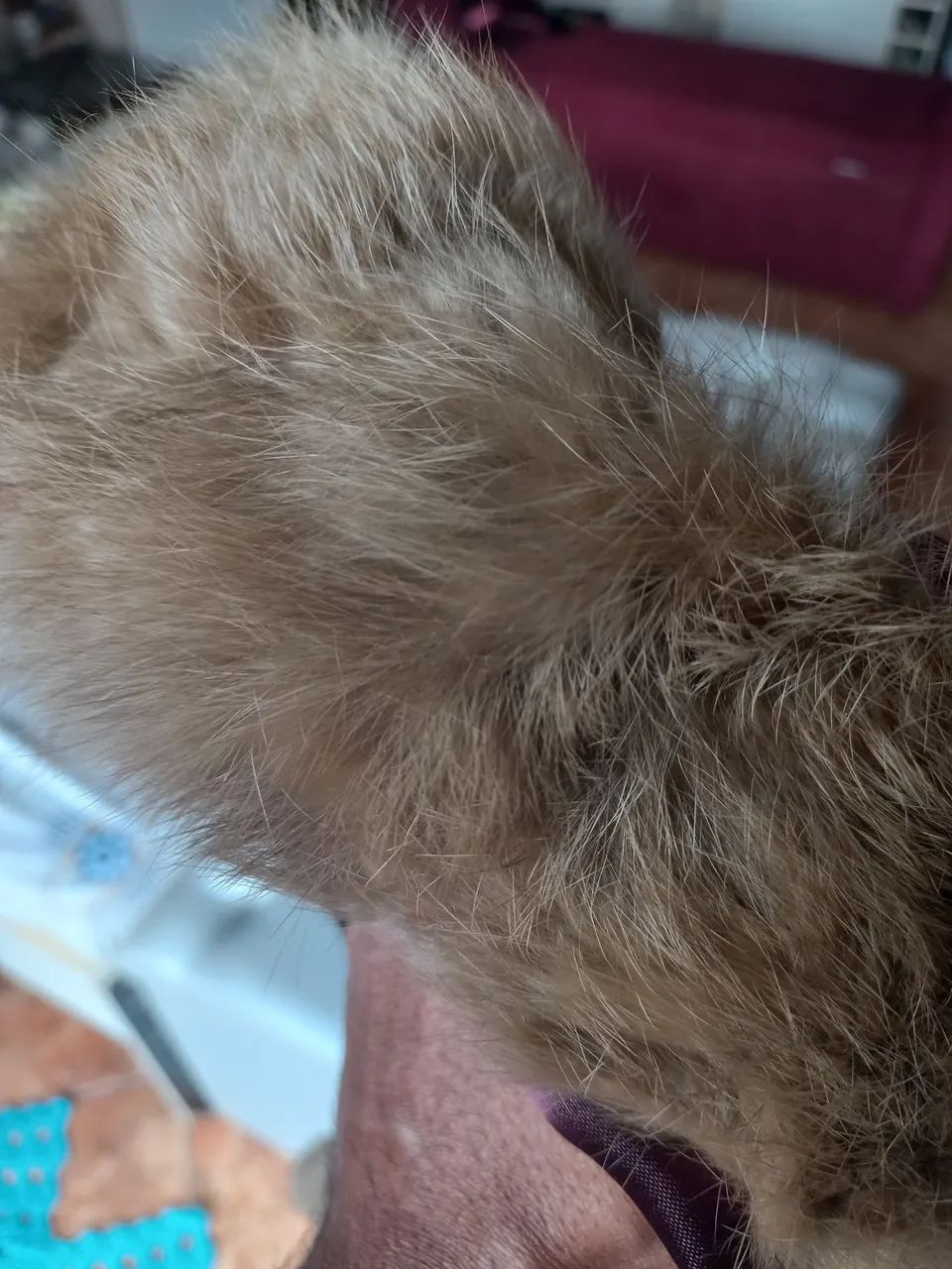 Gorro de pele legítimo  - Foto 4