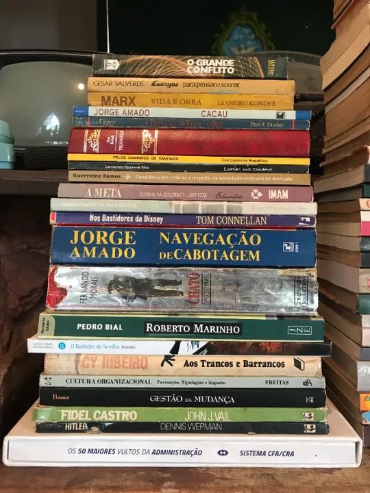 Biblioteca Lote de 22 Livros