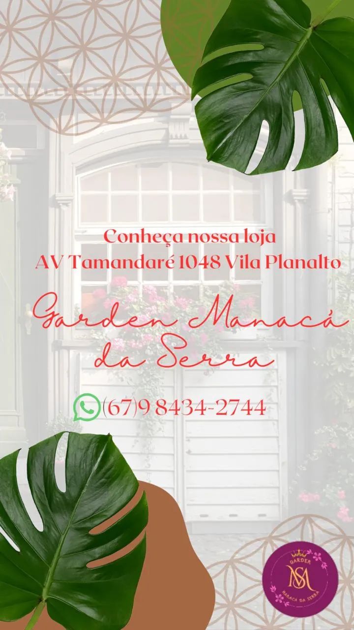 50% de desconto  - Foto 4