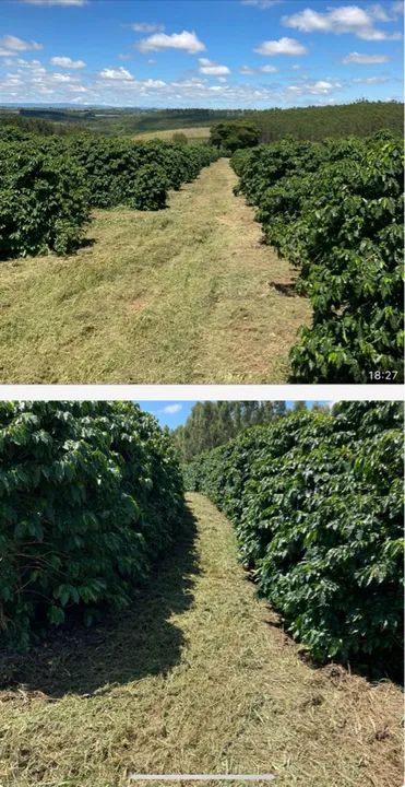 Fazenda de café ? em Cristais Minas Gerais 