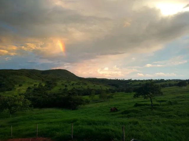 Fazenda 220 hectares  - Foto 5