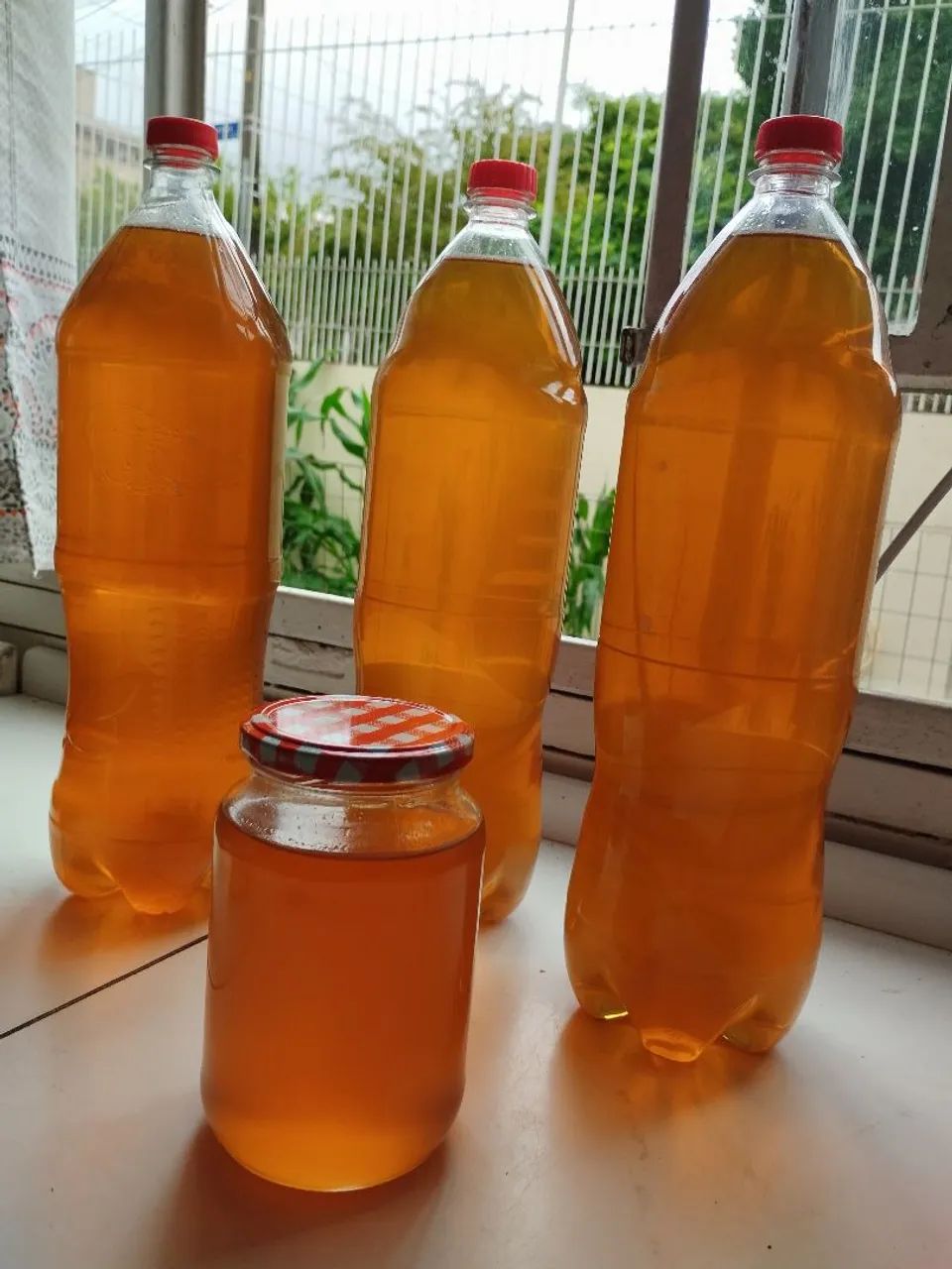 Mel de abelha puro - produção artesanal - Foto 2