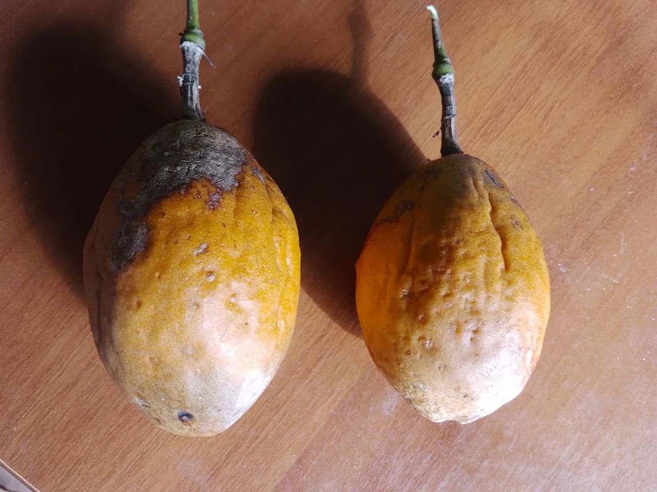 Mudas de maracujá doce amarelo