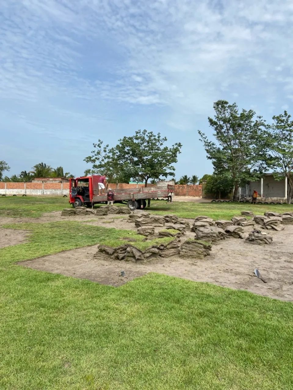 Grama Esmeralda e Serviços  - Foto 2