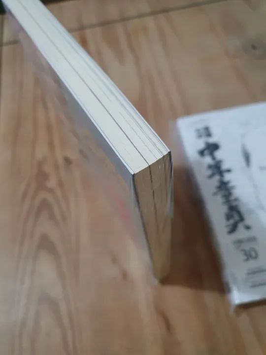 Mangá pipoca e nanquim Virgem depois dos 30 e Tokyo Killers  - Foto 3