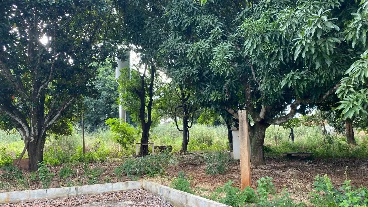 Chácara no Recreio São Joaquim, 5.000,00 m², murada