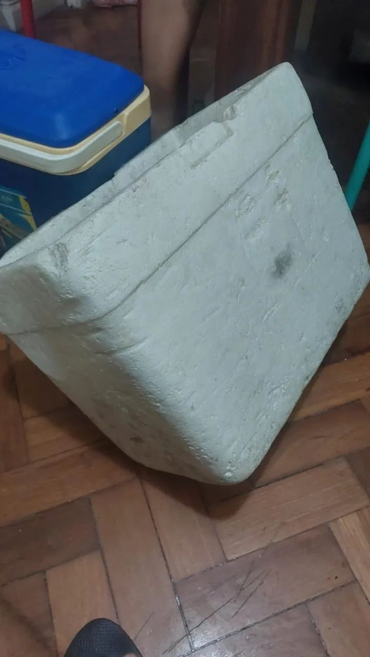 Isopor bom estado sem furo e sem tampa