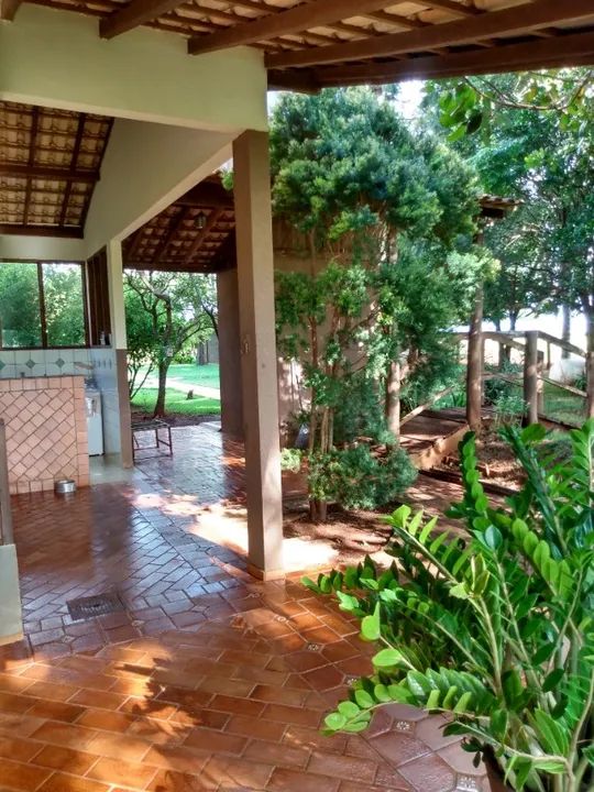 Chácara 10 hectares em C.Grande - ARRENDAMENTO