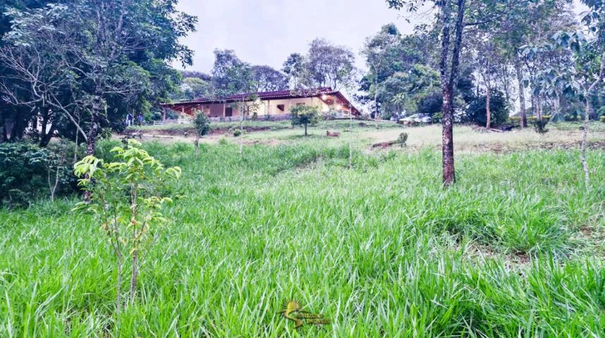 Sítio de 28.000m² em Sítio Novo - Mateus Leme - MG - Foto 13