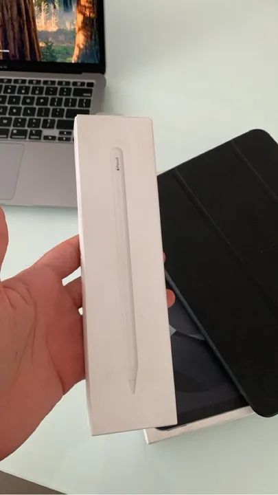 Apple Pencil 2ª Geração - Novo