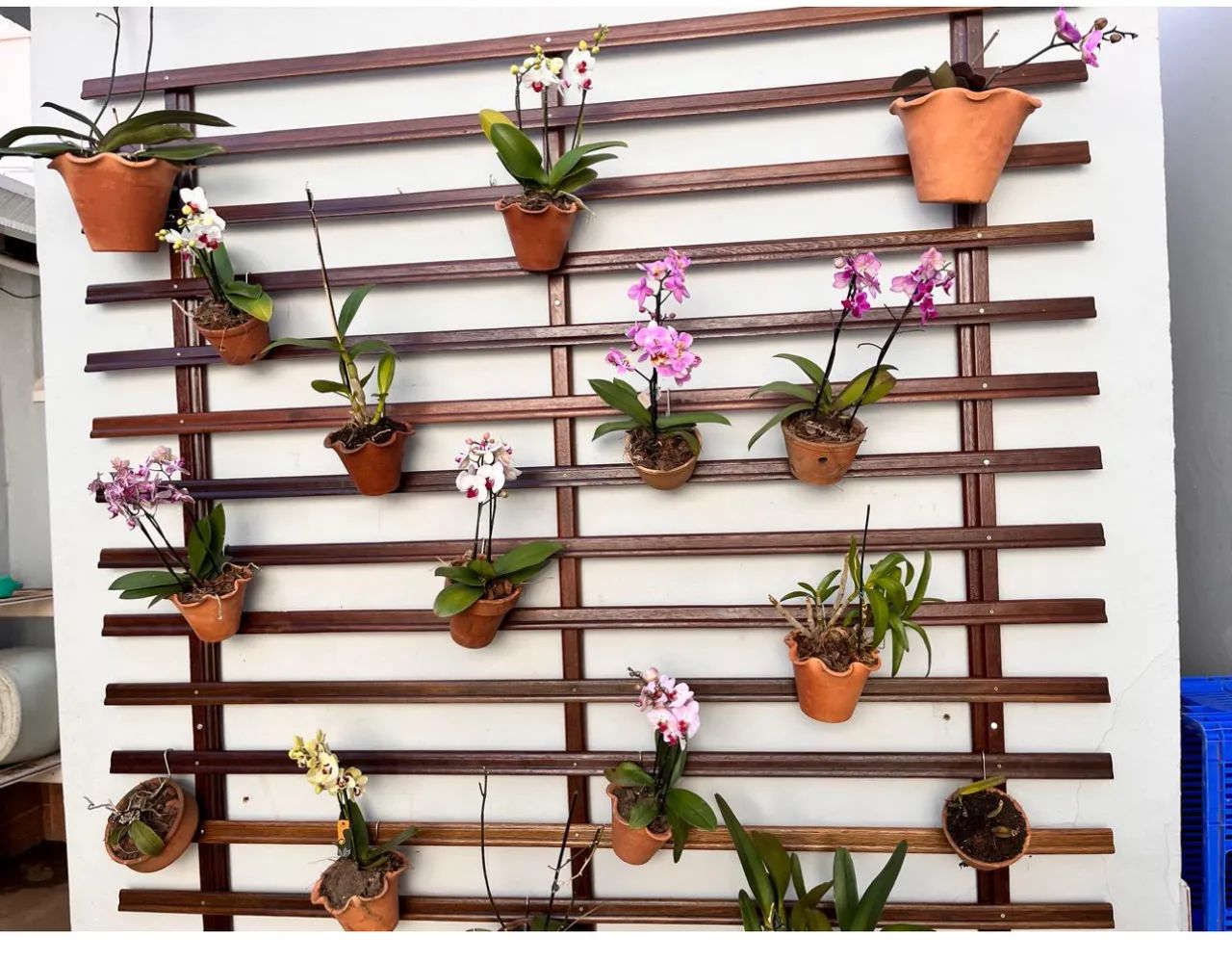 Jardim Vertical sem flores
