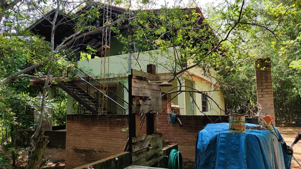 PESQUEIRO. NUARA (noara  - Foto 11