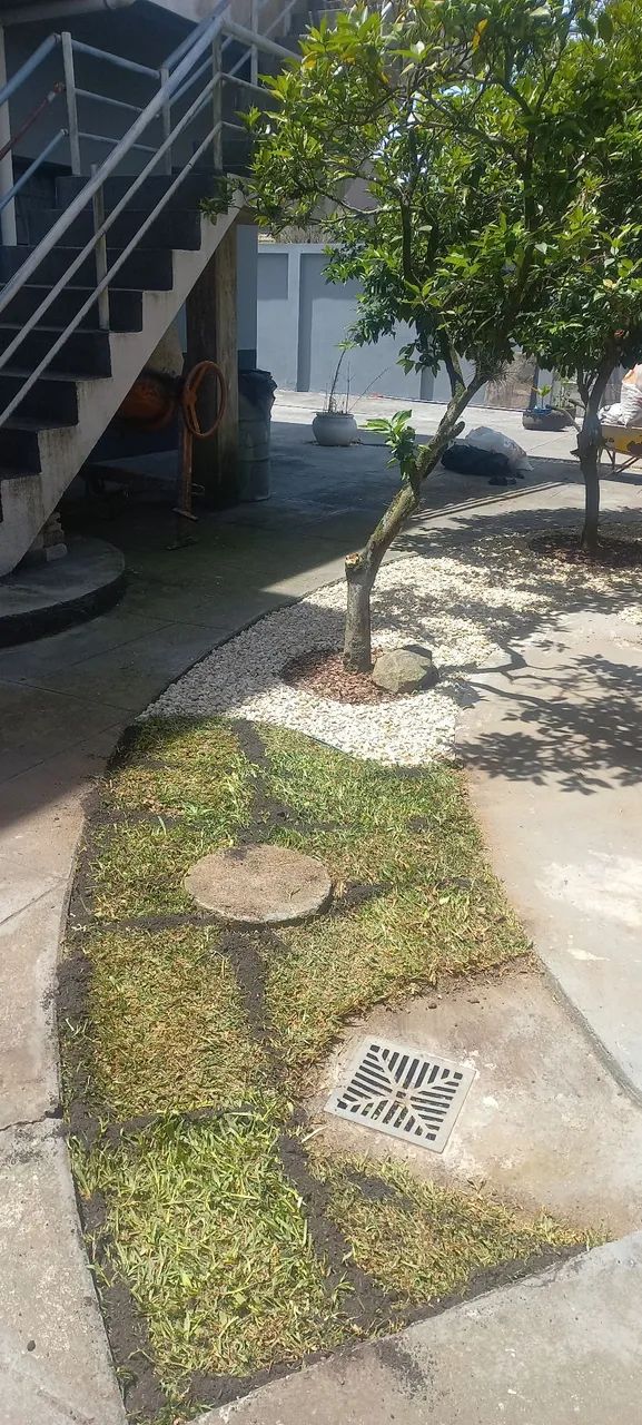 Paisagismo  - Foto 2