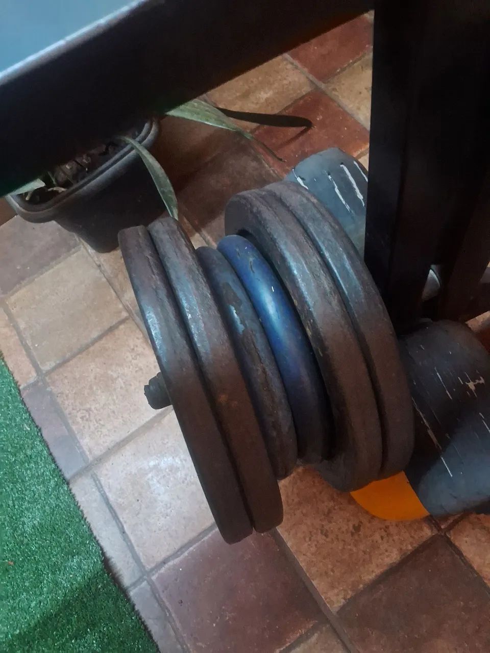 Academia  - Foto 2