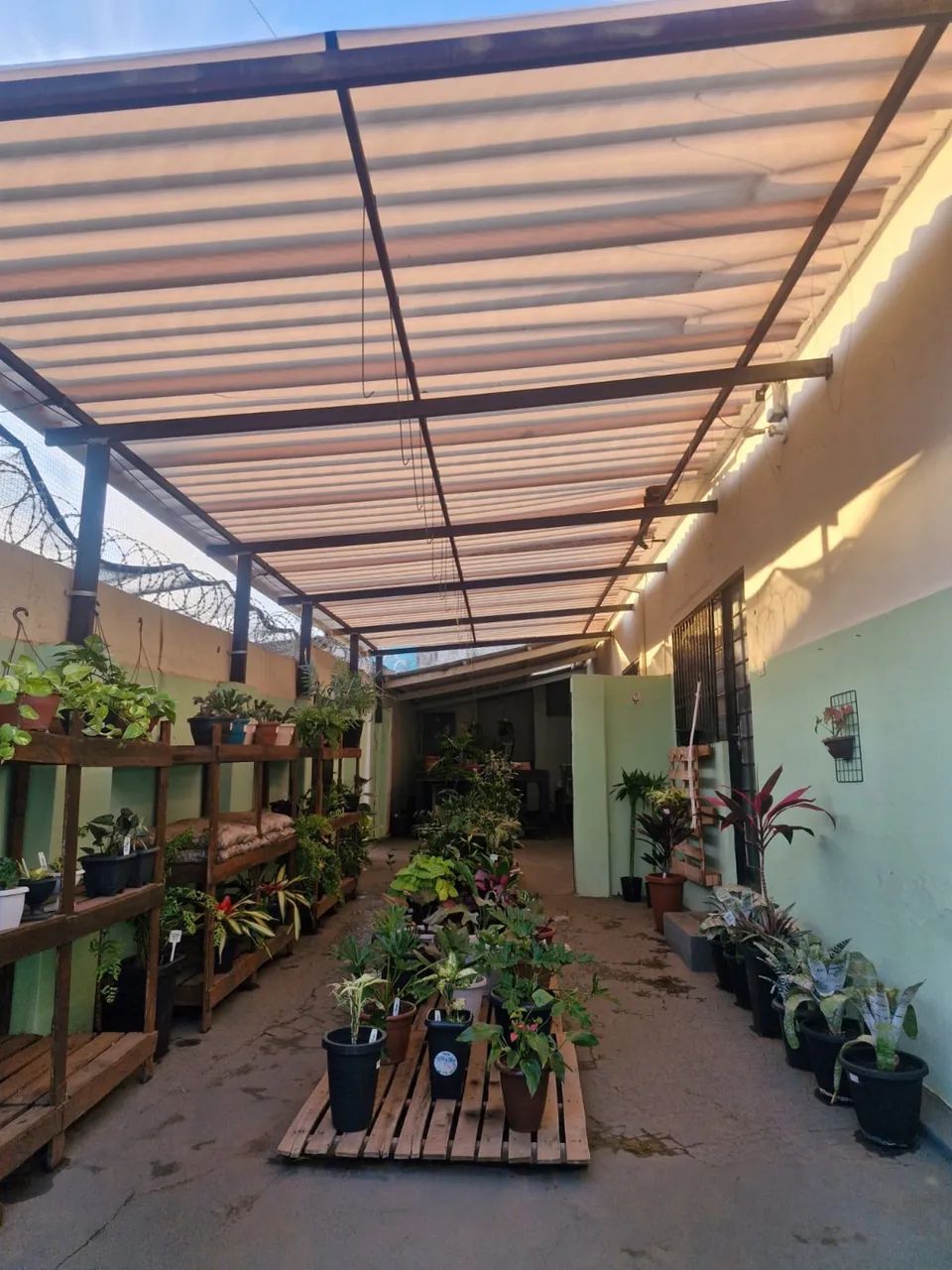 Vendo Ferragista/Garden, no Bairro Martins - Foto 4