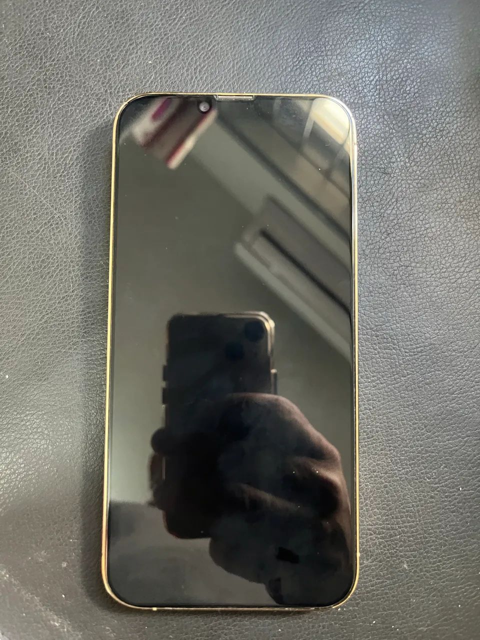 13 pro max impecável 