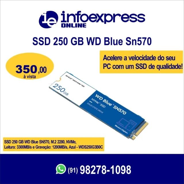 SSD WESTERN DIGITAL 250GB WD BLUE