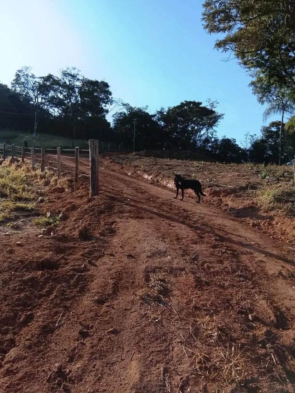 Chácara Desterro de Entre Rios  - Foto 4