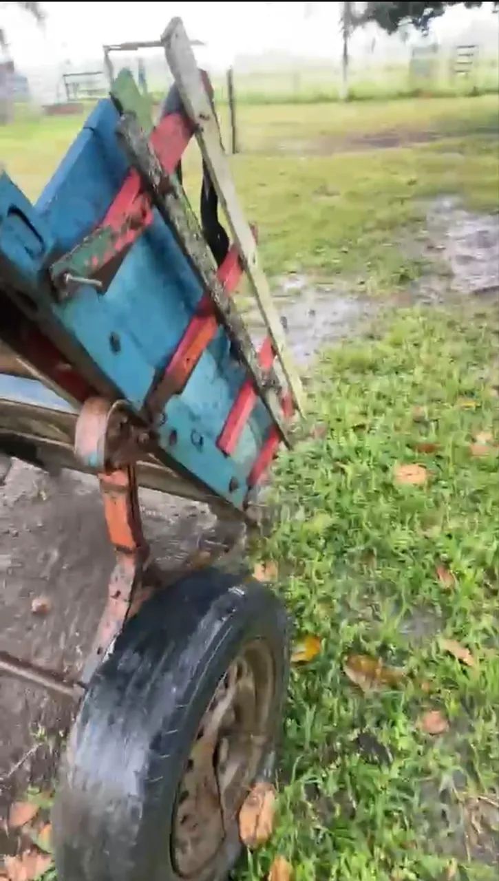 Vendo burro e carroça  - Foto 3