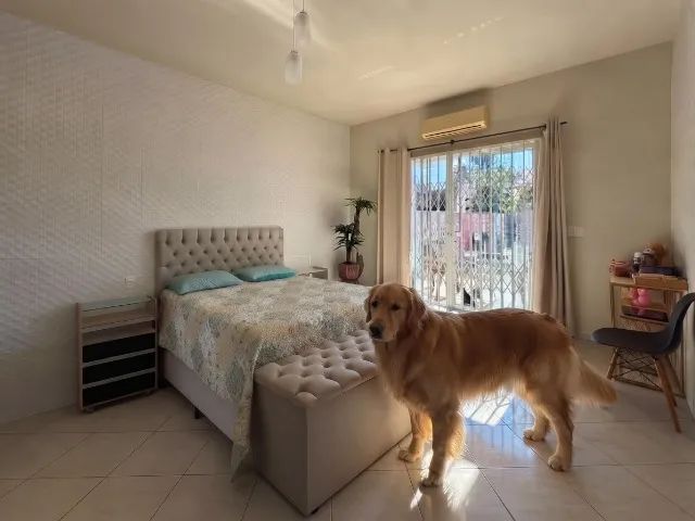 Doa se Cachorro Golden - Foto 2