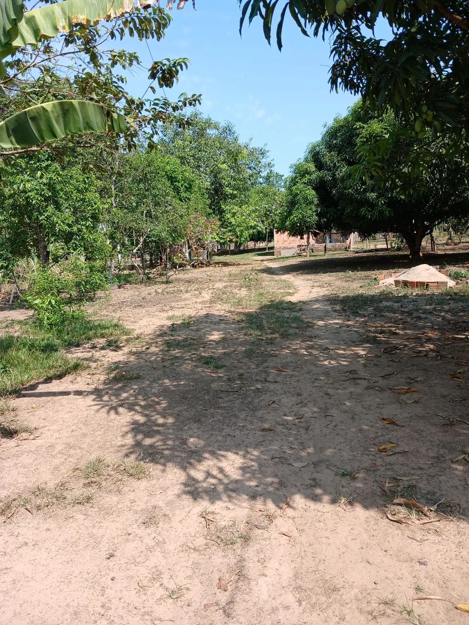Chácara  - Foto 3