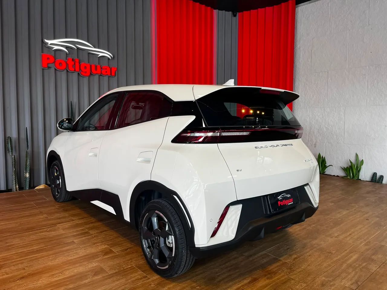 BYD Dolphin Mini (Elétrico) 2025 - Foto 5