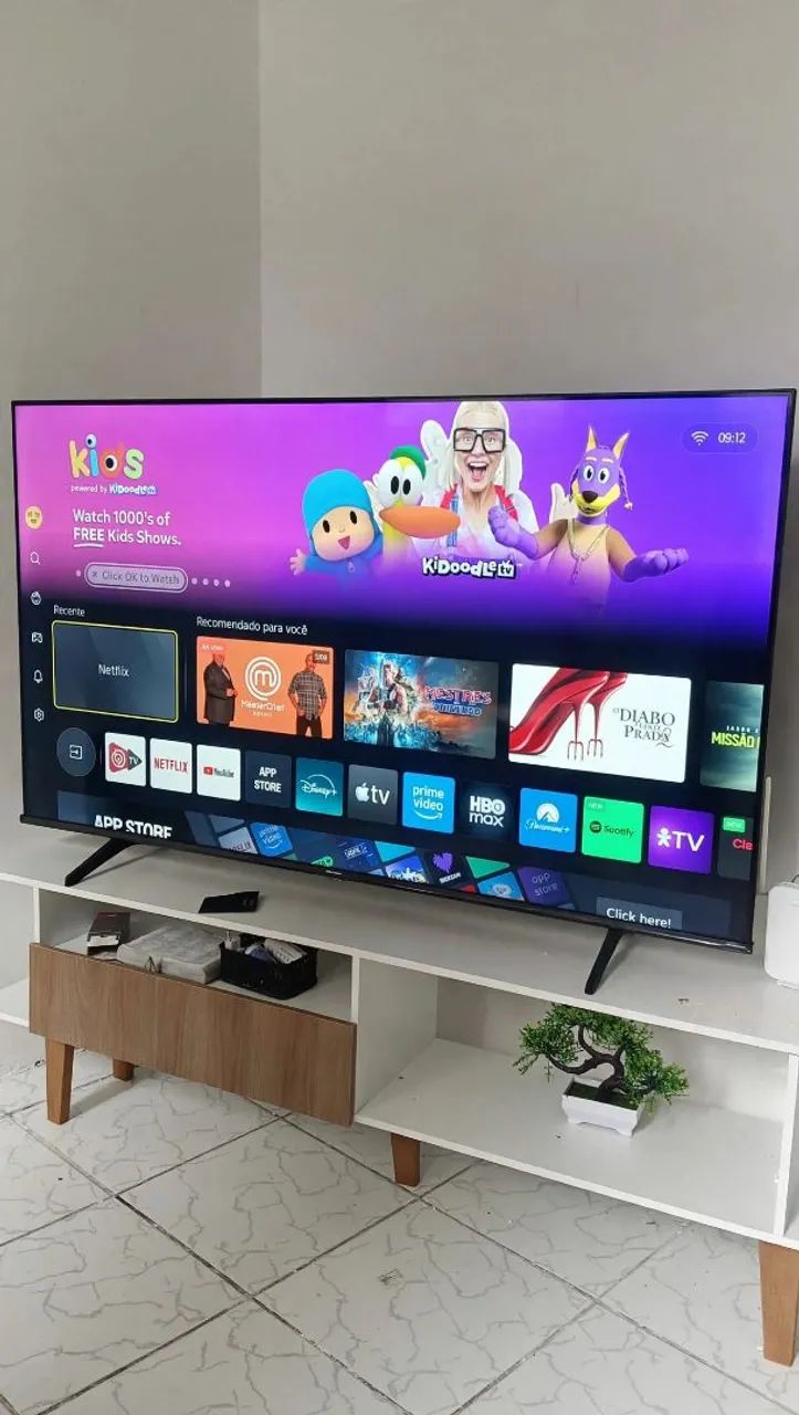 TV Heisense 58