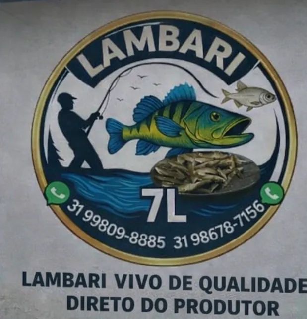Lambari para pesca - Foto 3