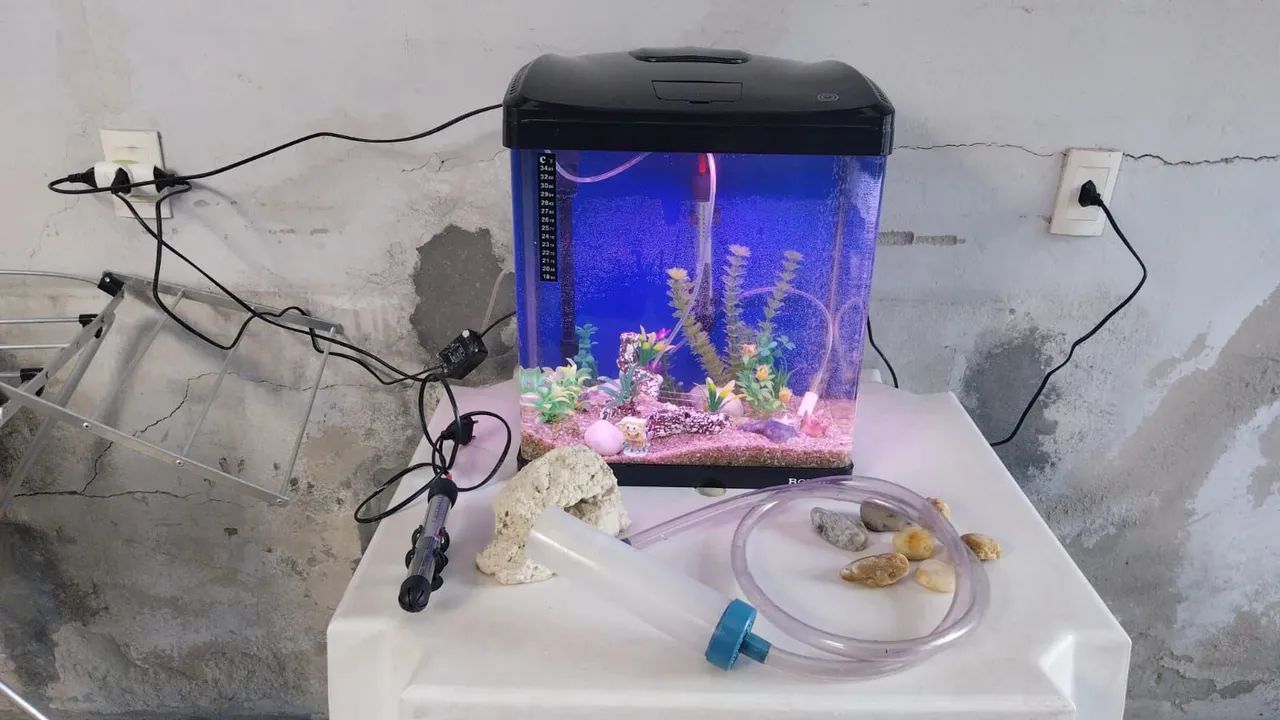 Vende-se um aquário e Patine  - Foto 6