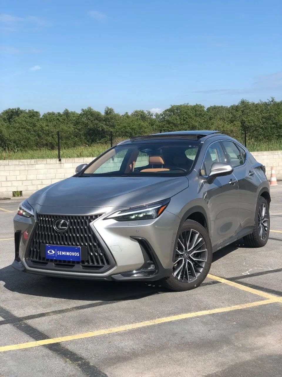 Lexus NX-450h+