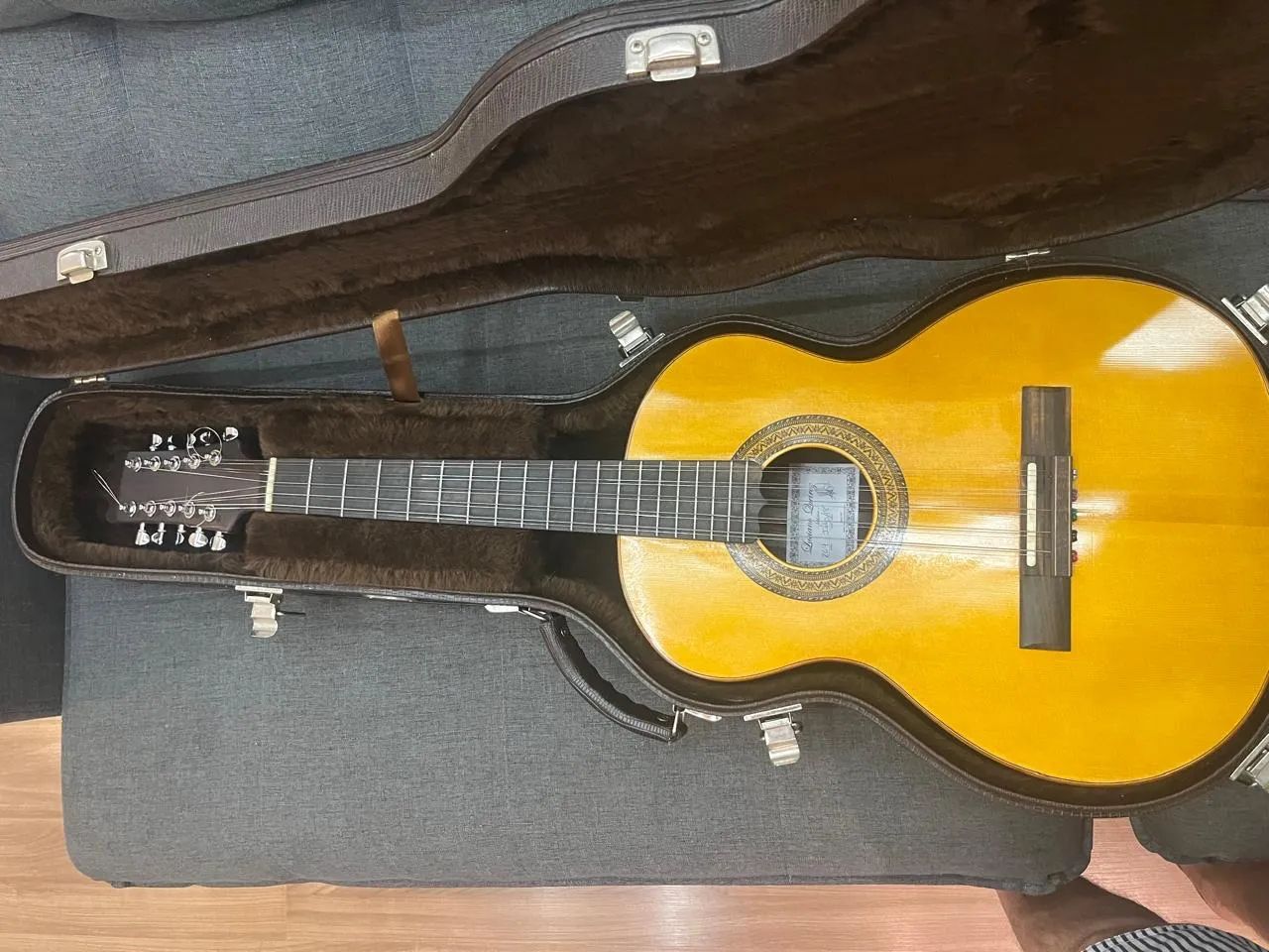 Viola Luciano Queiroz 