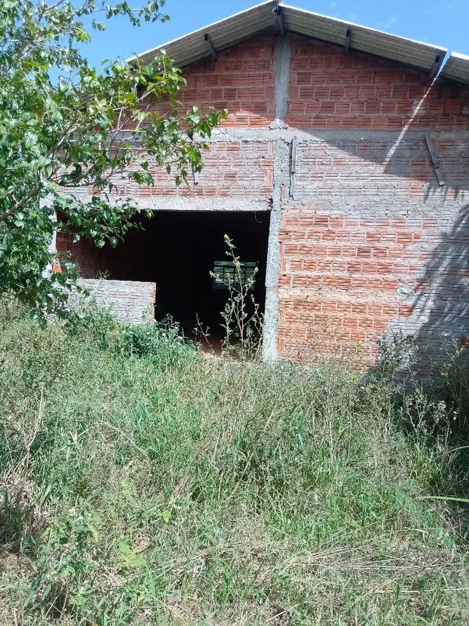 Vendo chácara  - Foto 4