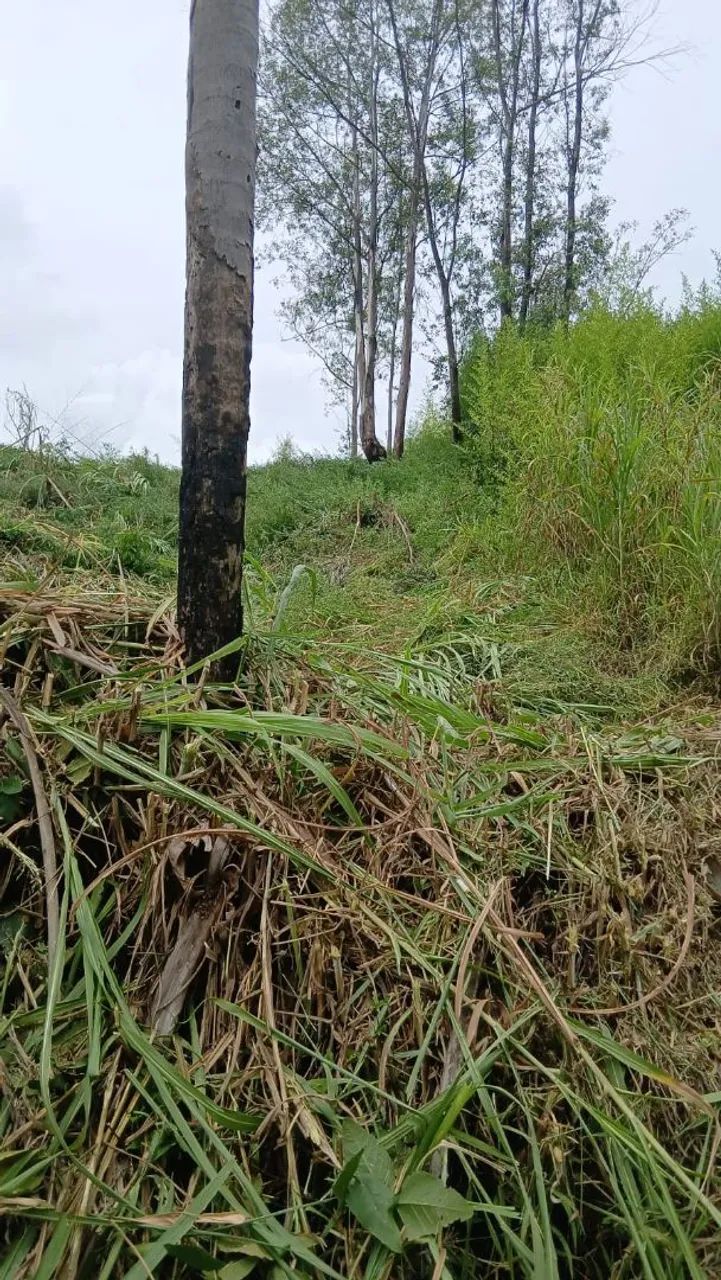 Terreno em Serra Negra  - Foto 2
