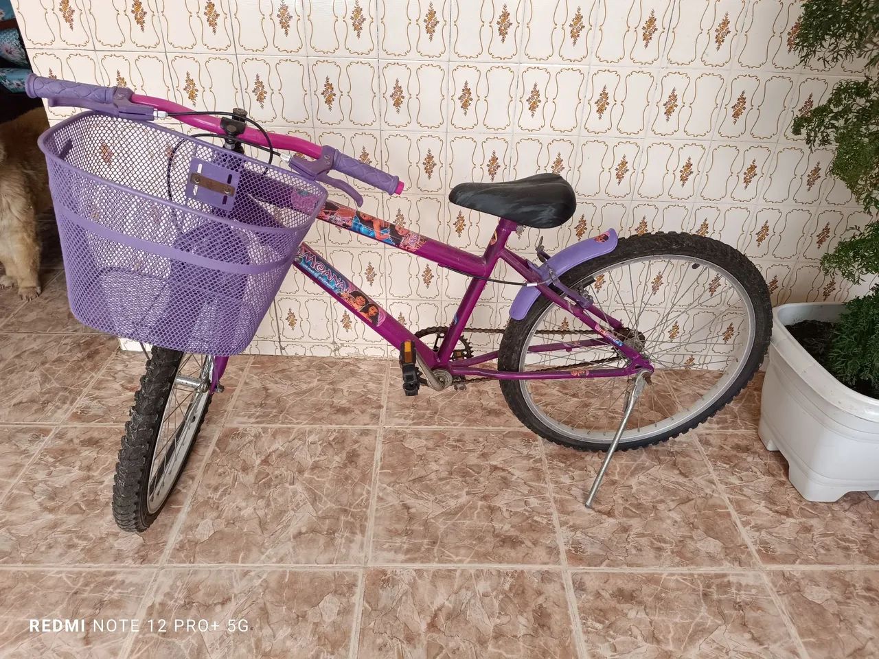 Bicicleta - Foto 2