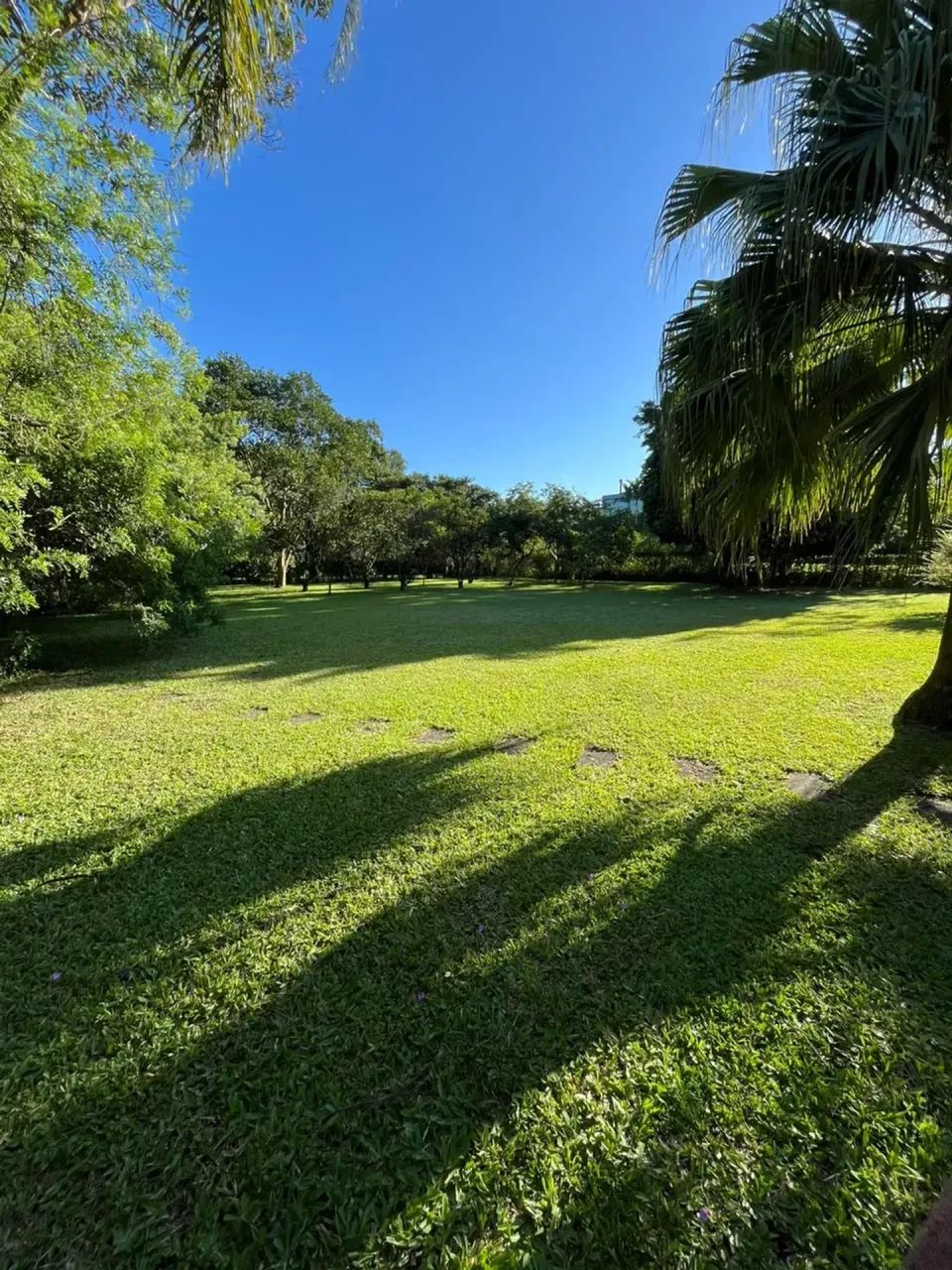 Casa em Condomínio com Amplo terreno de 3090m2 3 quartos, 3 suítes, piscina - Foto 4