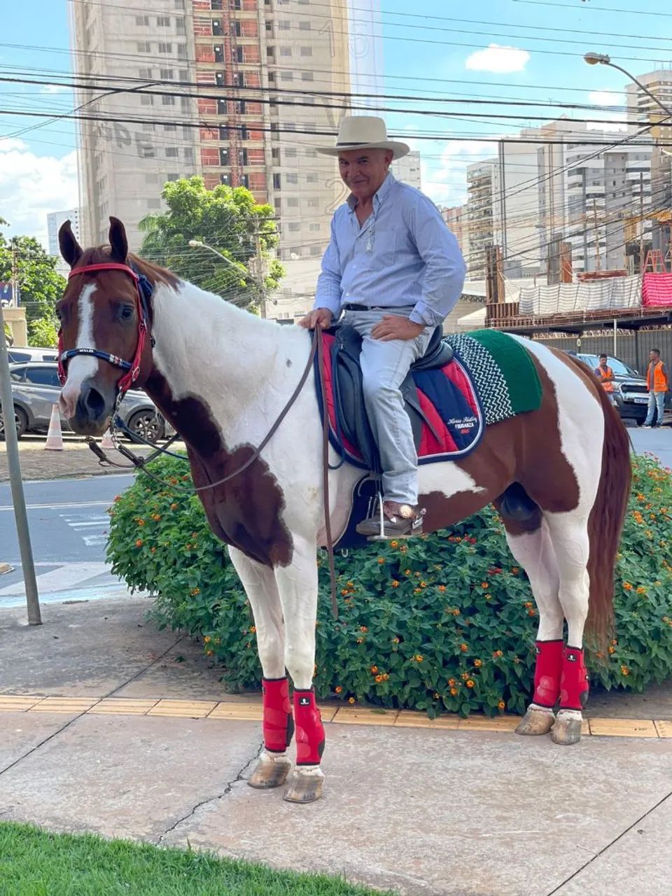 Cavalo Paint horse - Foto 4