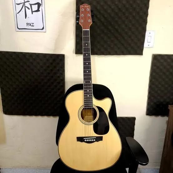 Violão DiGiorgio Folk101 