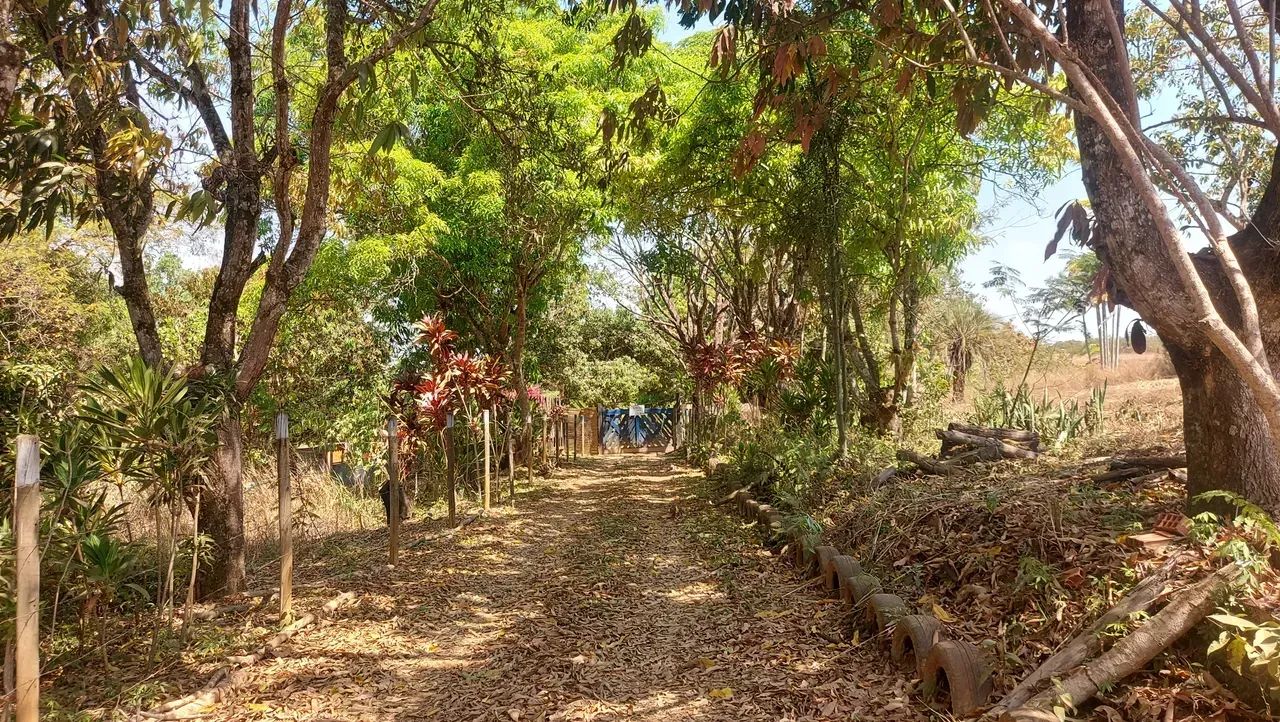 Chácara 9.030m² escriturada com água e muita natureza! - Foto 2