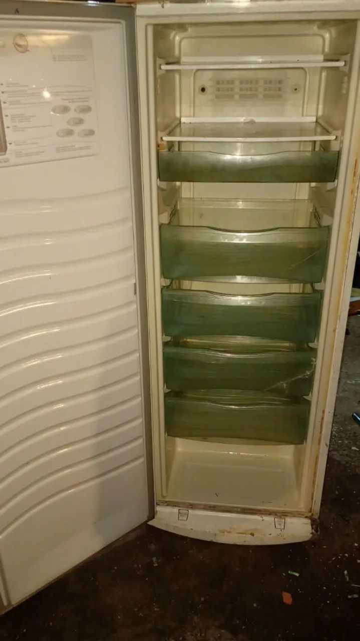 Freezer vertical