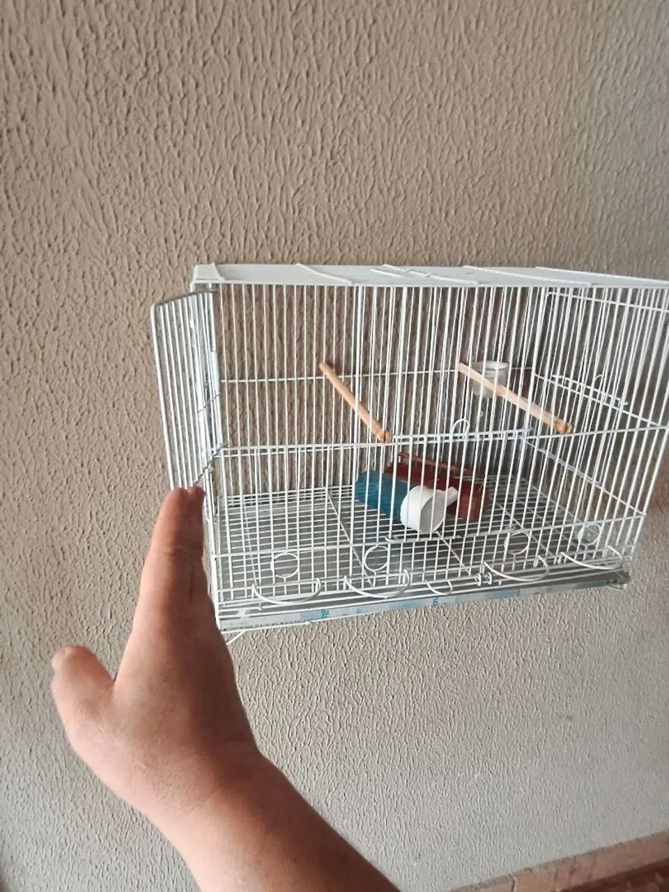 Gaiolas de aço para canários semi novas - Foto 2