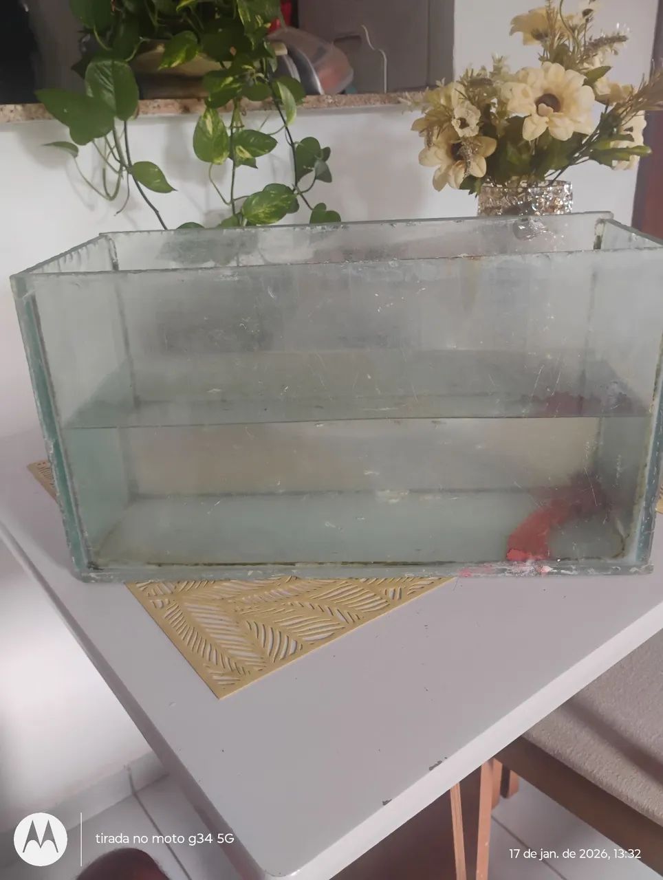 Aquário valor 100 reais, medindo 48cm x 25cm x 15cm. - Foto 5