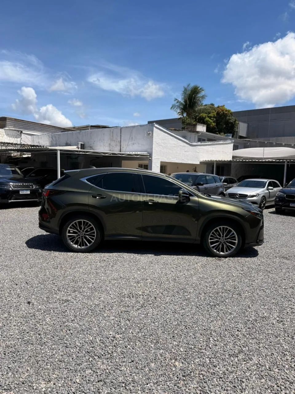 Lexus NX-350h Luxury 2.5 16V Aut. (hybrid), foto 4 de 20